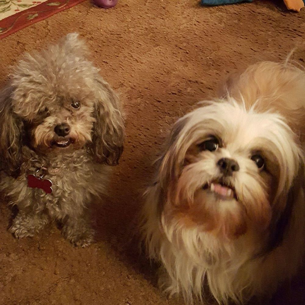 Meet your Posher, Debbie